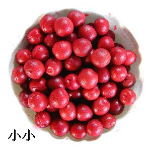 やわい紅小梅漬（小玉）-国産　1ｋｇ×１０箱入 送料無料 - ウインドウを閉じる