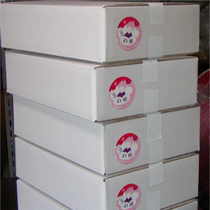 うめ娘（梅干）　２００ｇ　国産　小玉